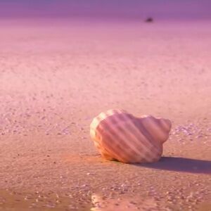 🫧🐚Bundle🐚🫧